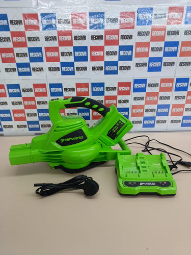 Aspirador y soplador 2en1 24V sin batería – Greenworks